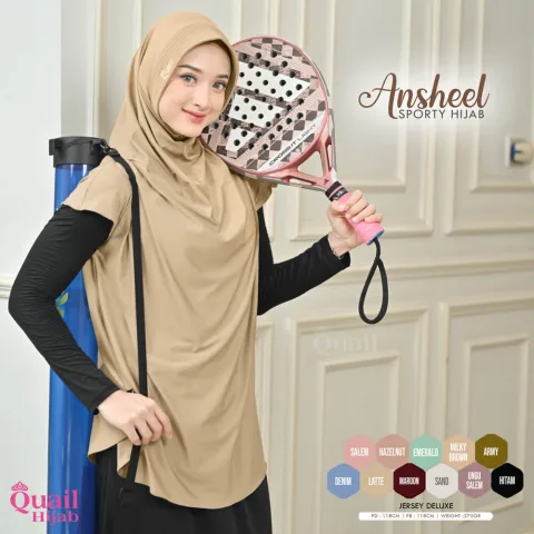 Ansheel